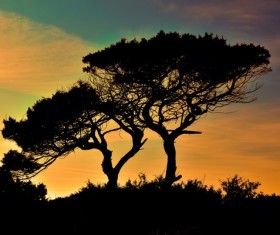 Cyprus National Park Sunset Stock Photo
