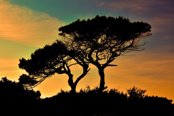 Cyprus National Park Sunset Stock Photo