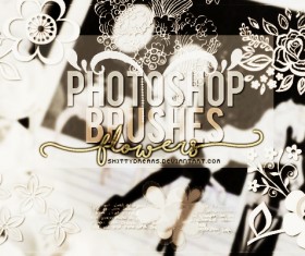 Decor flowers photoshop brushes