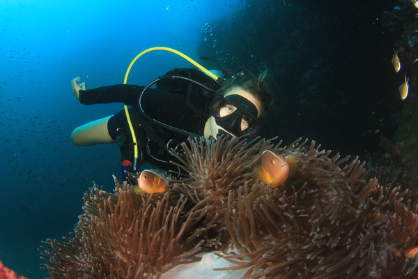 Diver View coral reef with fish Stock Photo
