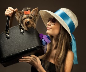 Fashionable woman in the bag of pet dog Stock Photo