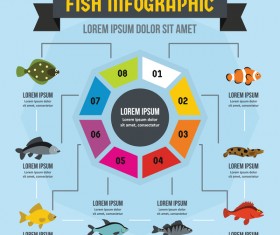 Flsh infographic design vector