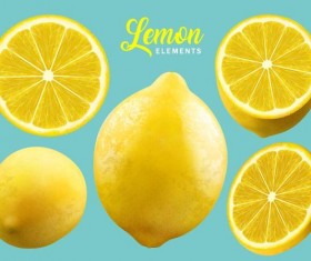 Fresh lemon background vector