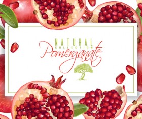 Fresh pomegranate background design vectors 01