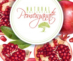 Fresh pomegranate background design vectors 02