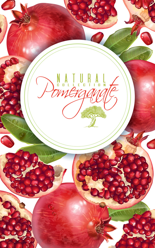 Fresh pomegranate background design vectors 02