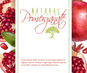 Fresh pomegranate background design vectors 03