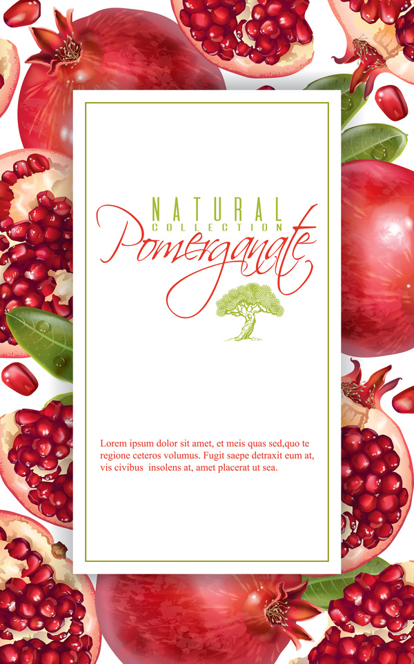 Fresh pomegranate background design vectors 03