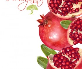 Fresh pomegranate background design vectors 04