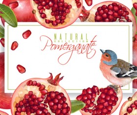 Fresh pomegranate background design vectors 05