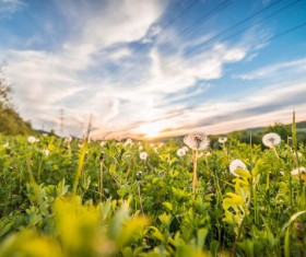 Fresh scenery Stock Photo