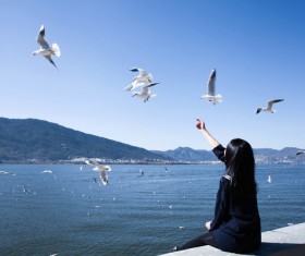 Girl with seagulls Stock Photo