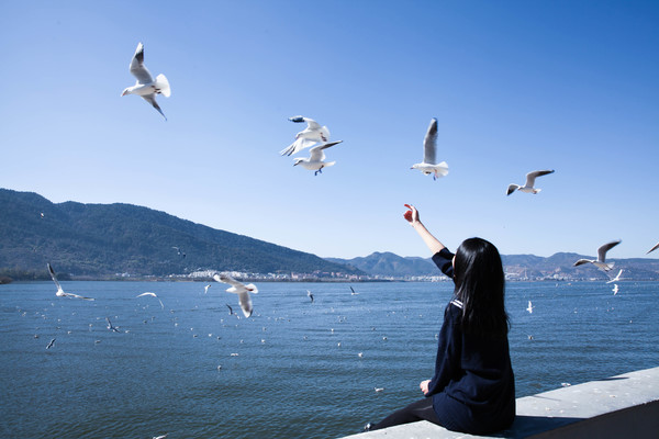 Girl with seagulls Stock Photo