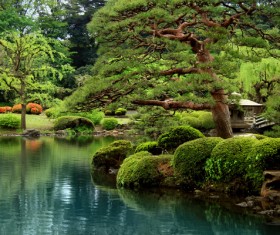 Hall and courtyard lawn landscape Stock Photo 02