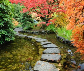 Hall and courtyard lawn landscape Stock Photo 05