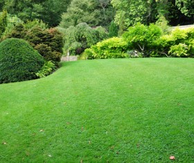 Hall and courtyard lawn landscape Stock Photo 06