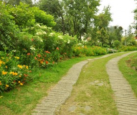 Hall and courtyard lawn landscape Stock Photo 10