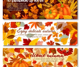 Harvest the fall banner vector material 04