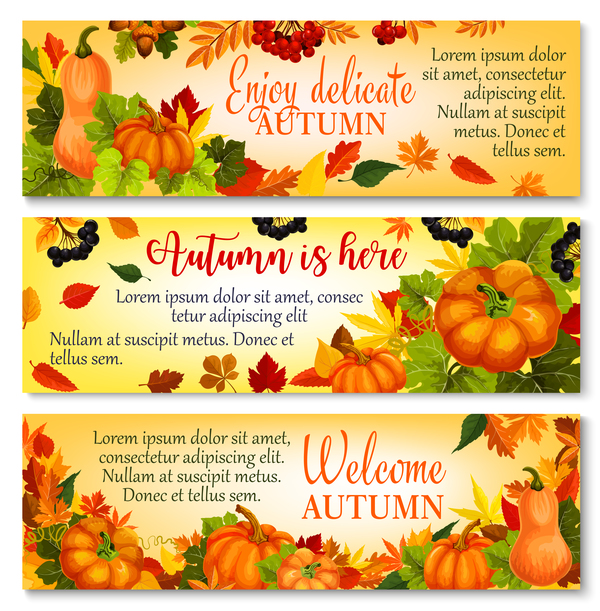 Harvest the fall banner vector material 05