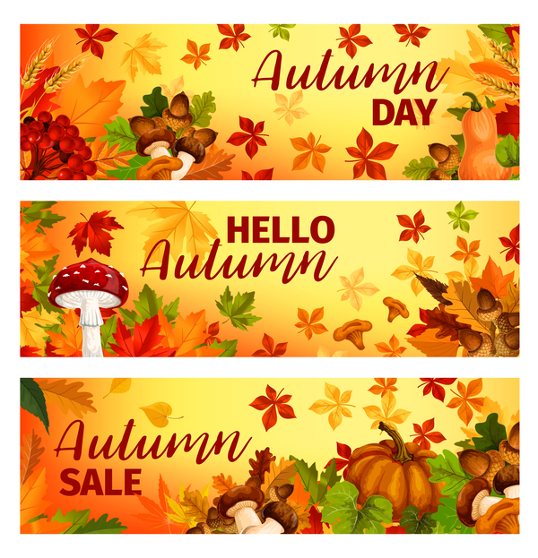 Harvest the fall banner vector material 07