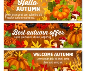 Harvest the fall banner vector material 08
