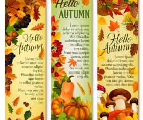 Hello autumn vertical banner vector set 05