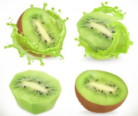 Kiwi fruit juice and splash vector