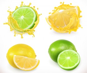 Lemon and lime juice splash vector