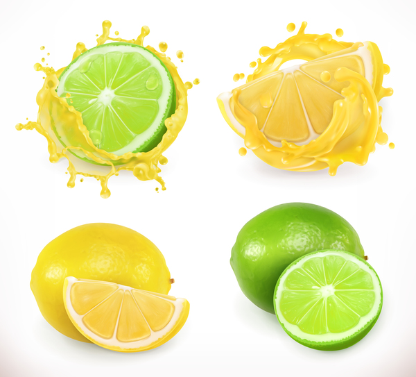 Lemon and lime juice splash vector