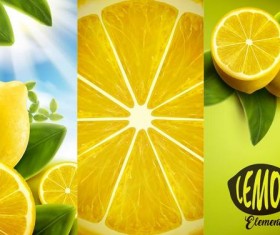 Lemon background illustration vectors