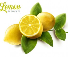 Lemon with green leaves vector