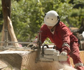 Lumberjack Stock Photo