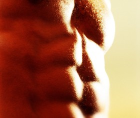 Male abdominal muscles Stock Photo