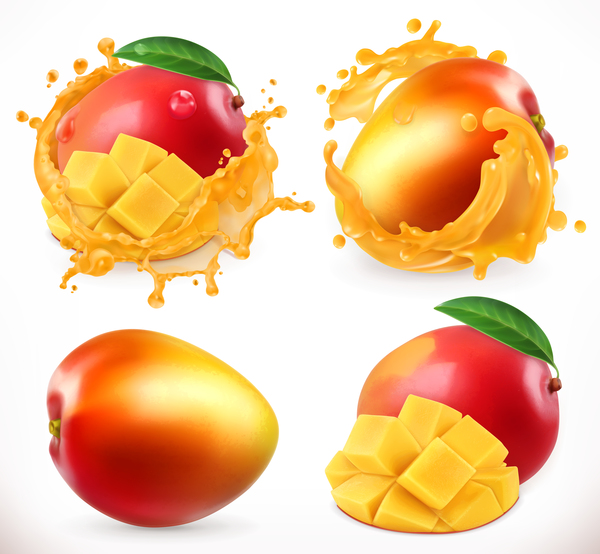 Mango and mango juice splash vector