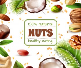 Natural nuts with frame vector