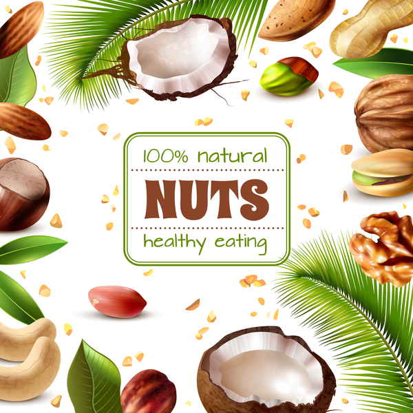 Natural nuts with frame vector