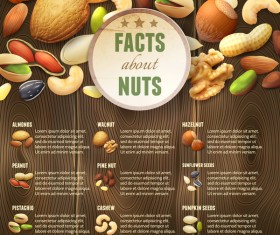 Nuts menu template vector