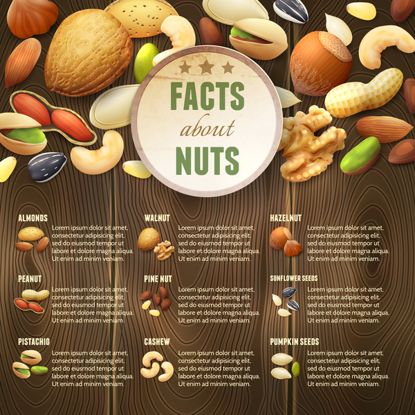 Nuts menu template vector