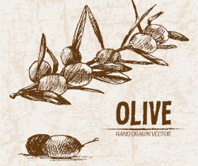 Olive hand drawn vectors design set 01