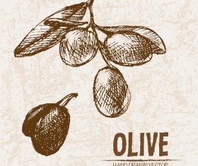Olive hand drawn vectors design set 03