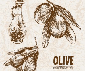 Olive hand drawn vectors design set 06