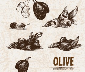 Olive hand drawn vectors design set 08