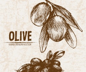 Olive hand drawn vectors design set 09
