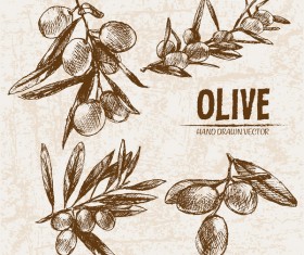 Olive hand drawn vectors design set 11