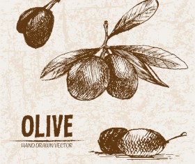 Olive hand drawn vectors design set 13