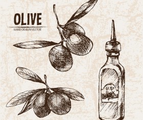 Olive hand drawn vectors design set 14