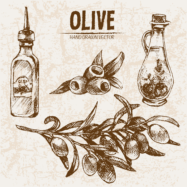 Olive hand drawn vectors design set 15