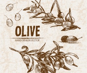 Olive hand drawn vectors design set 16