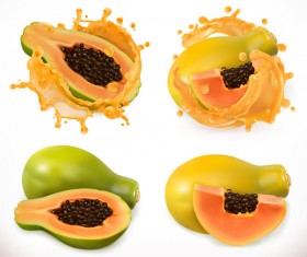 Papaya juice and splash vector