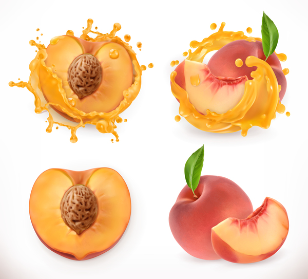 Peach juice and splash vector